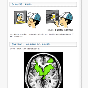 「褒められる」ことは報酬— 脳の"喜ぶ"様子を画像で捕らえた！—生理学研究所の画像