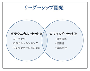 リーダーシップ開発 フレームワークの図