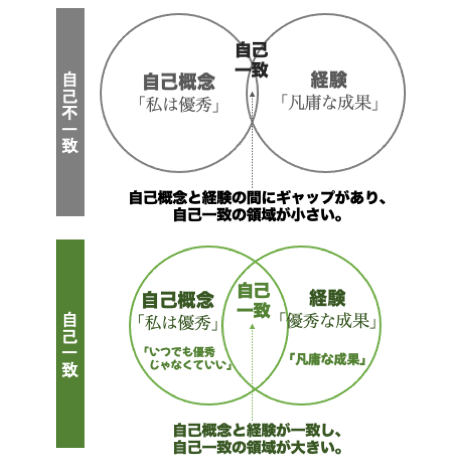 カール・ロジャーズの自己一致理論（自己概念と経験）のフレームワーク図