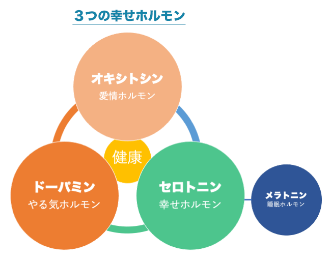 ３つの幸せホルモン「オキシトシン」「セロトニン」「ドーパミン」