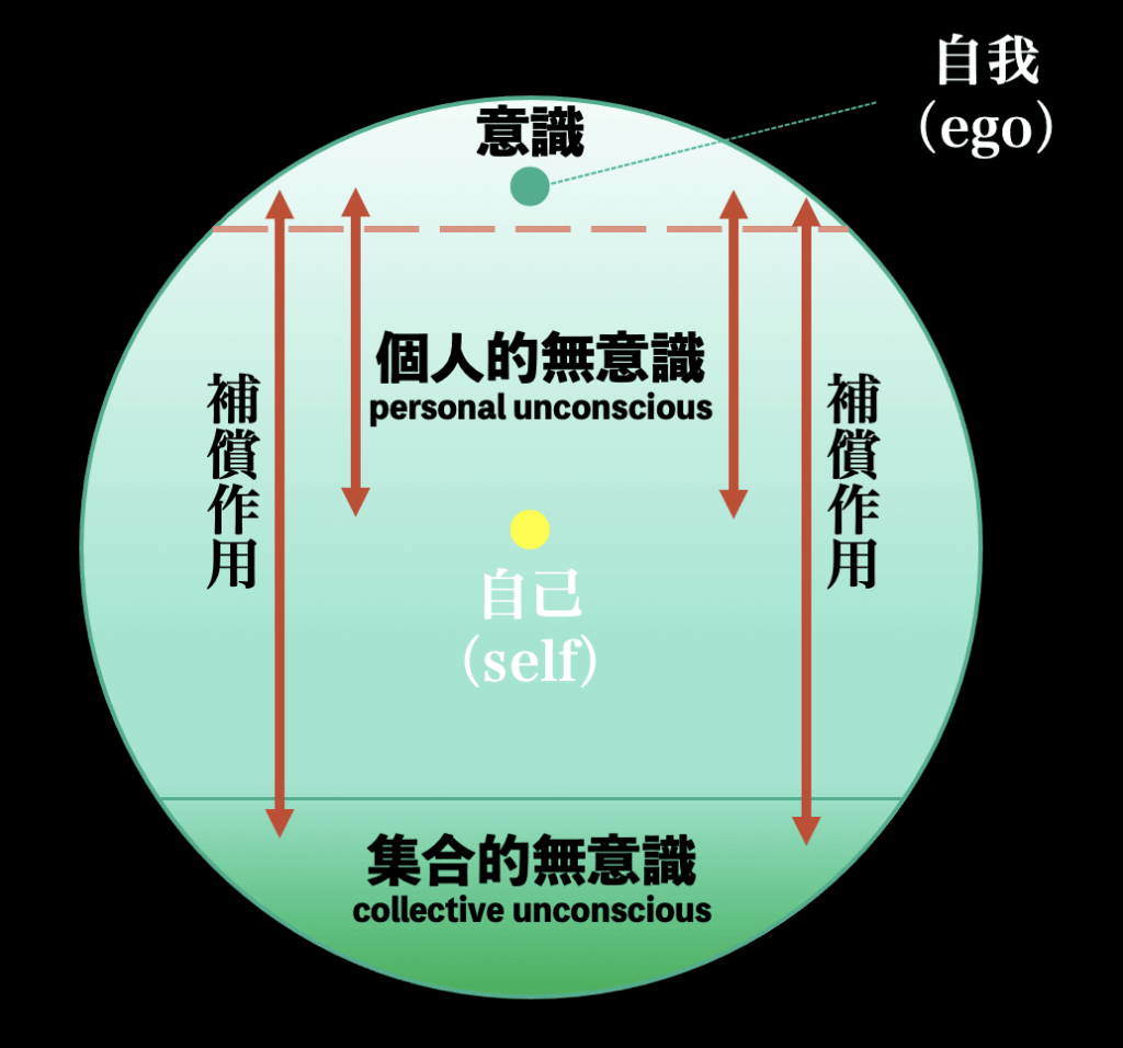 意識と無識の補償作用のイメージ図